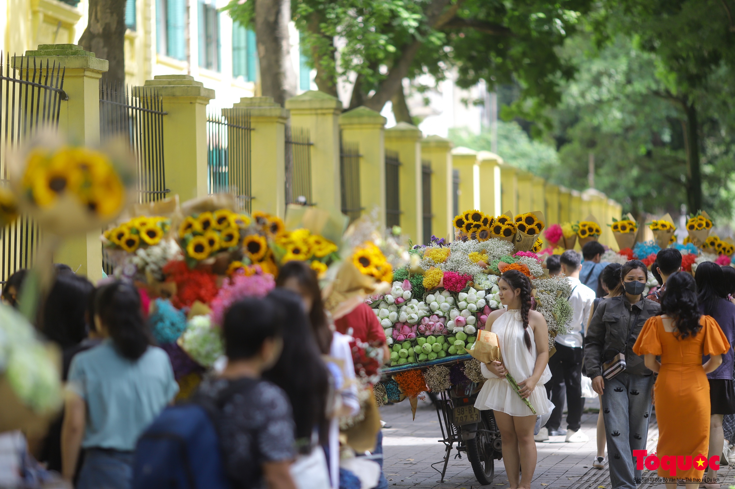 Hà Nội: Chấp nắng nóng các '&quot;nàng thơ&quot; nô nức chen chân check- in phố mùa thu Phan Đình Phùng - Ảnh 6.