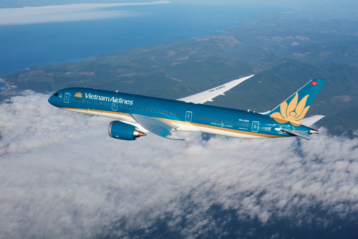 Hành trình phục hồi 18.000 cây, phủ lấp 27 hecta rừng của Vietnam Airlines - Ảnh 4.