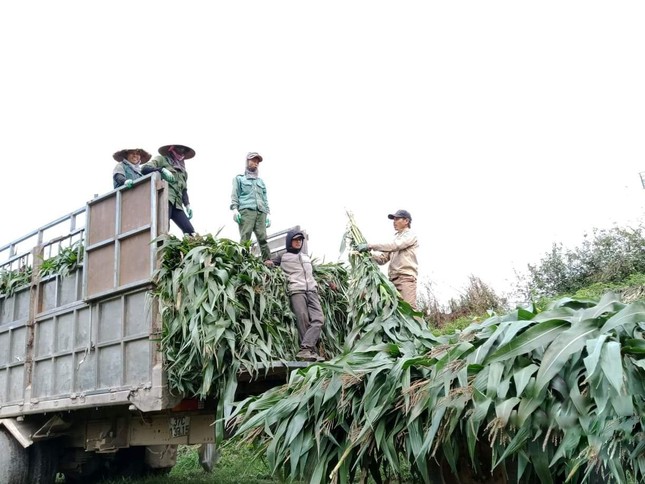 ‘Cụm trang trại tập trung công nghệ cao khép kín lớn nhất thế giới’ tiên phong thực thi ESG - Ảnh 4.