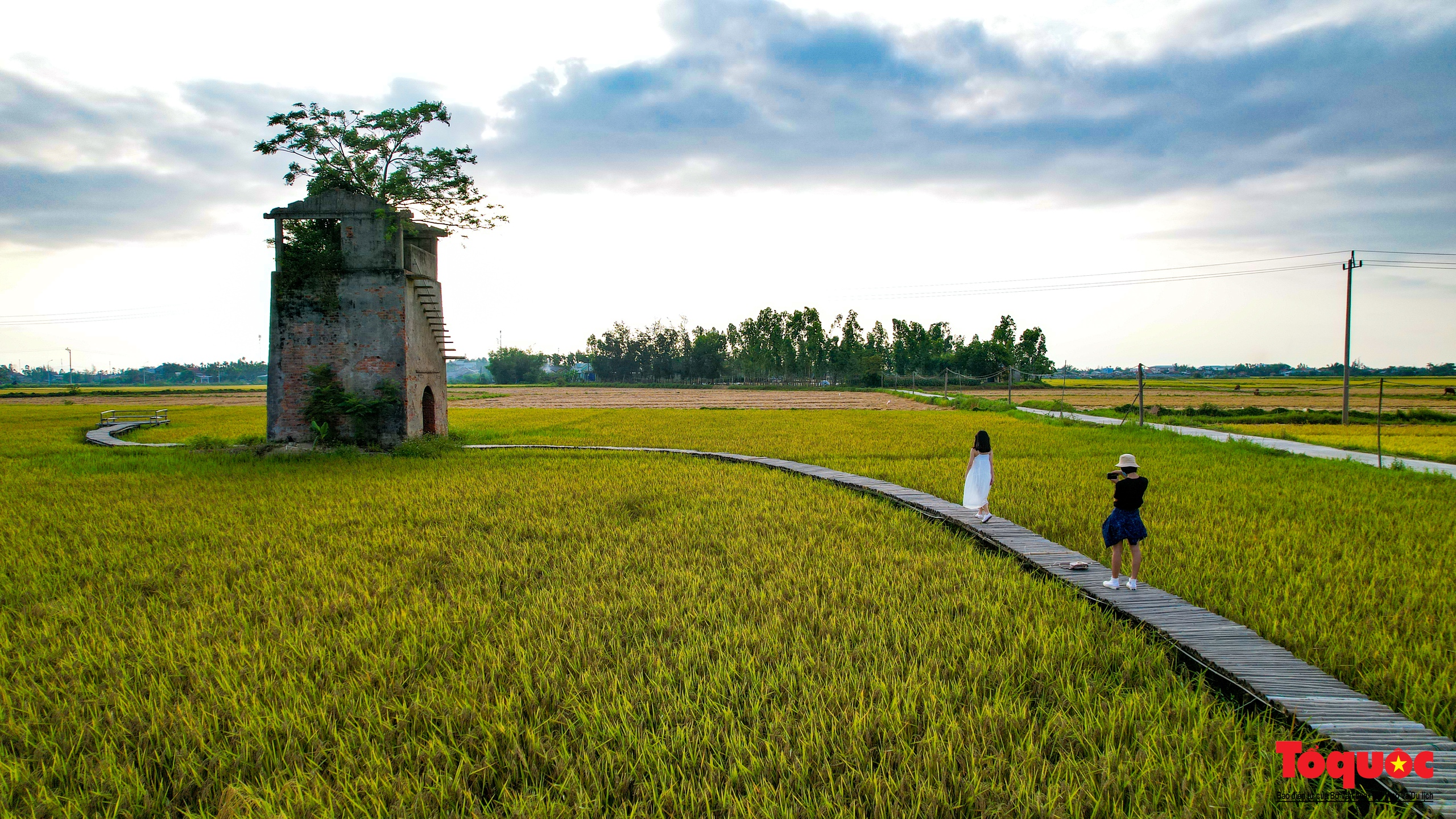 Giới trẻ &quot;đổi gió&quot; tìm về lò gạch cũ đẹp như tranh vẽ gần Hội An - Ảnh 8.