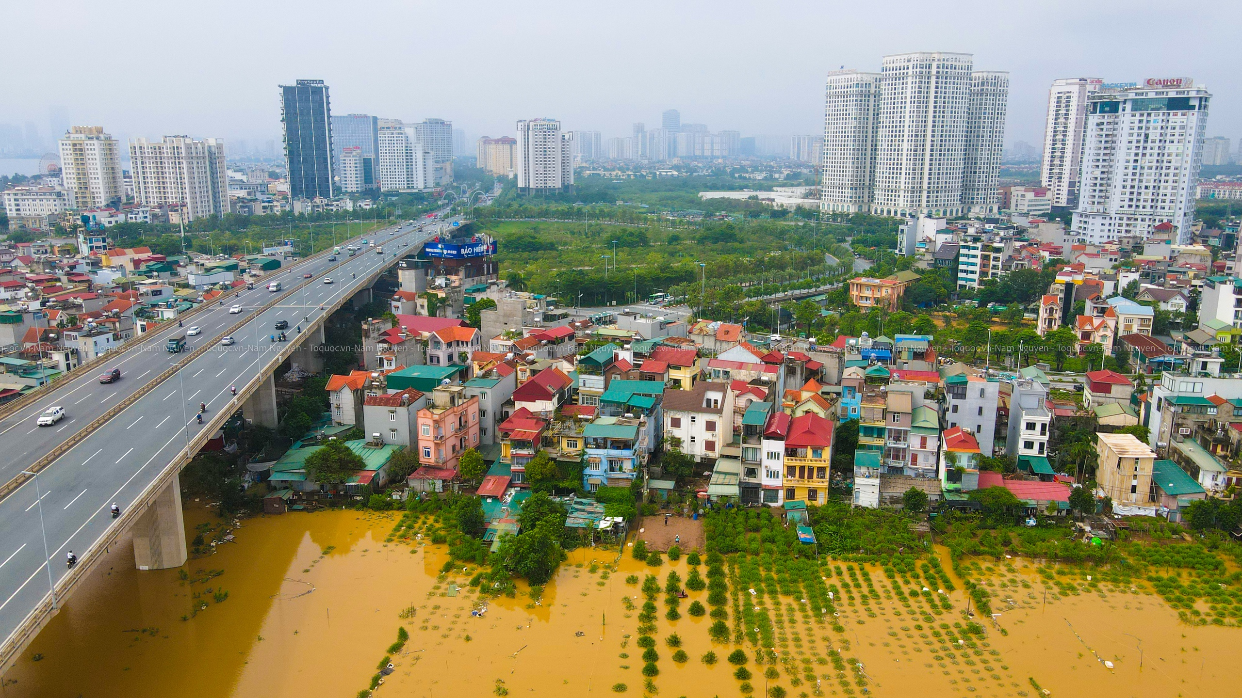 Lũ sông Hồng nhấn chìm vùng đào Nhật Tân và Phú Thượng - Ảnh 10.