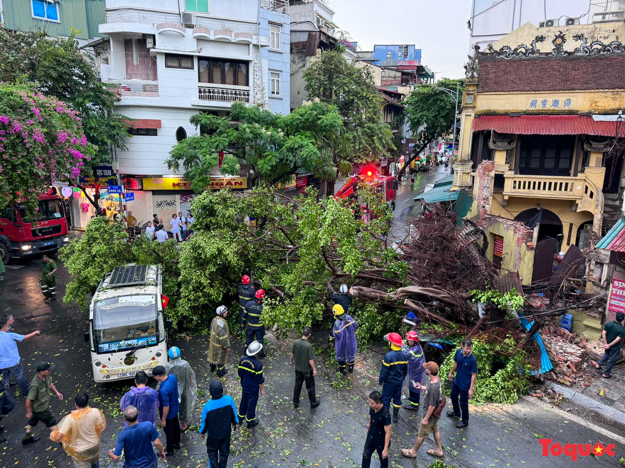 Nhiều tỉnh thành ngày đêm hỗ trợ Hà Nội xử lý cây xanh ngã đổ sau bão số 3 - Ảnh 1.