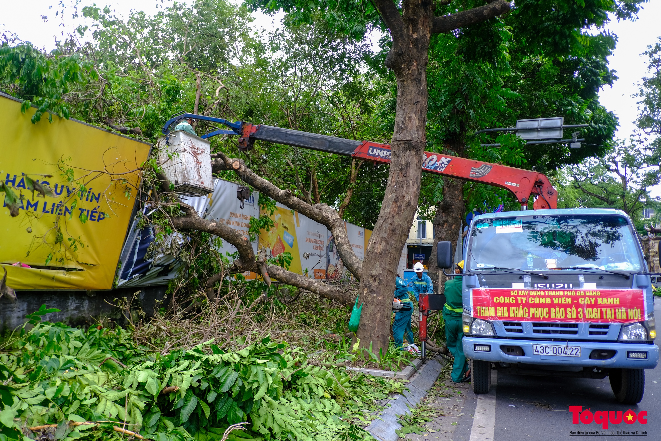 Nhiều tỉnh thành ngày đêm hỗ trợ Hà Nội xử lý cây xanh ngã đổ sau bão số 3 - Ảnh 4.