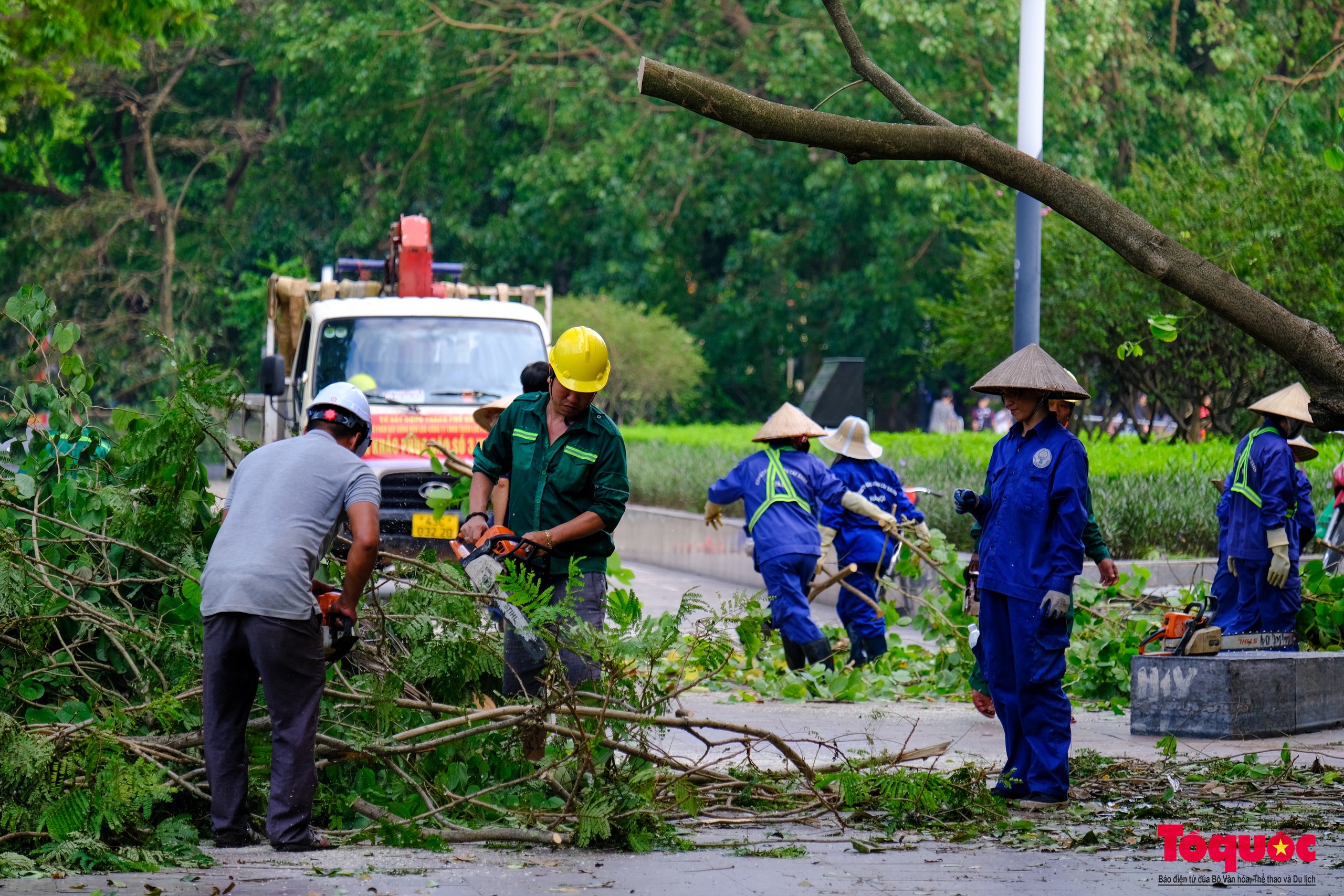 Nhiều tỉnh thành ngày đêm hỗ trợ Hà Nội xử lý cây xanh ngã đổ sau bão số 3 - Ảnh 8.