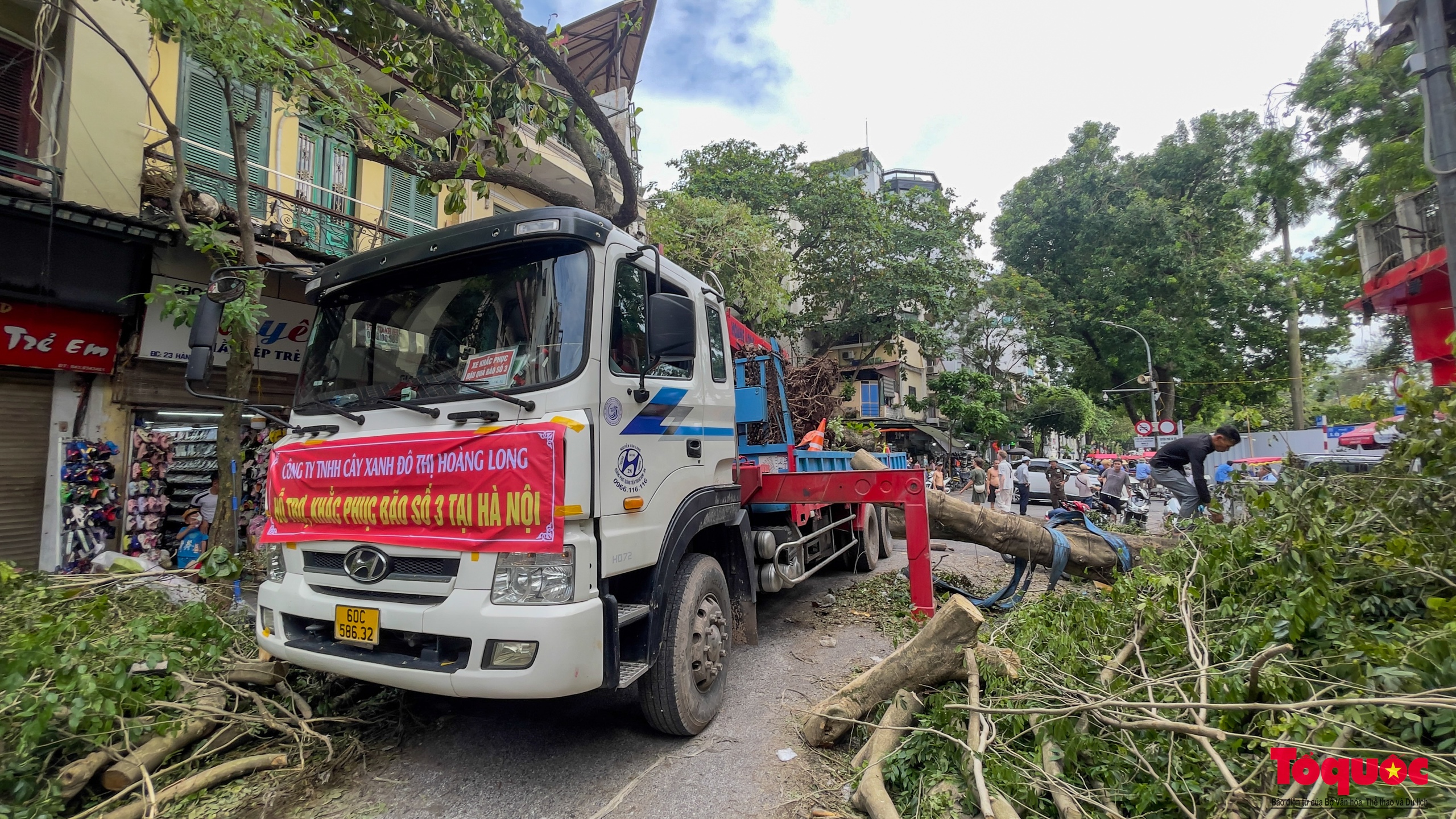 Nhiều tỉnh thành ngày đêm hỗ trợ Hà Nội xử lý cây xanh ngã đổ sau bão số 3 - Ảnh 19.