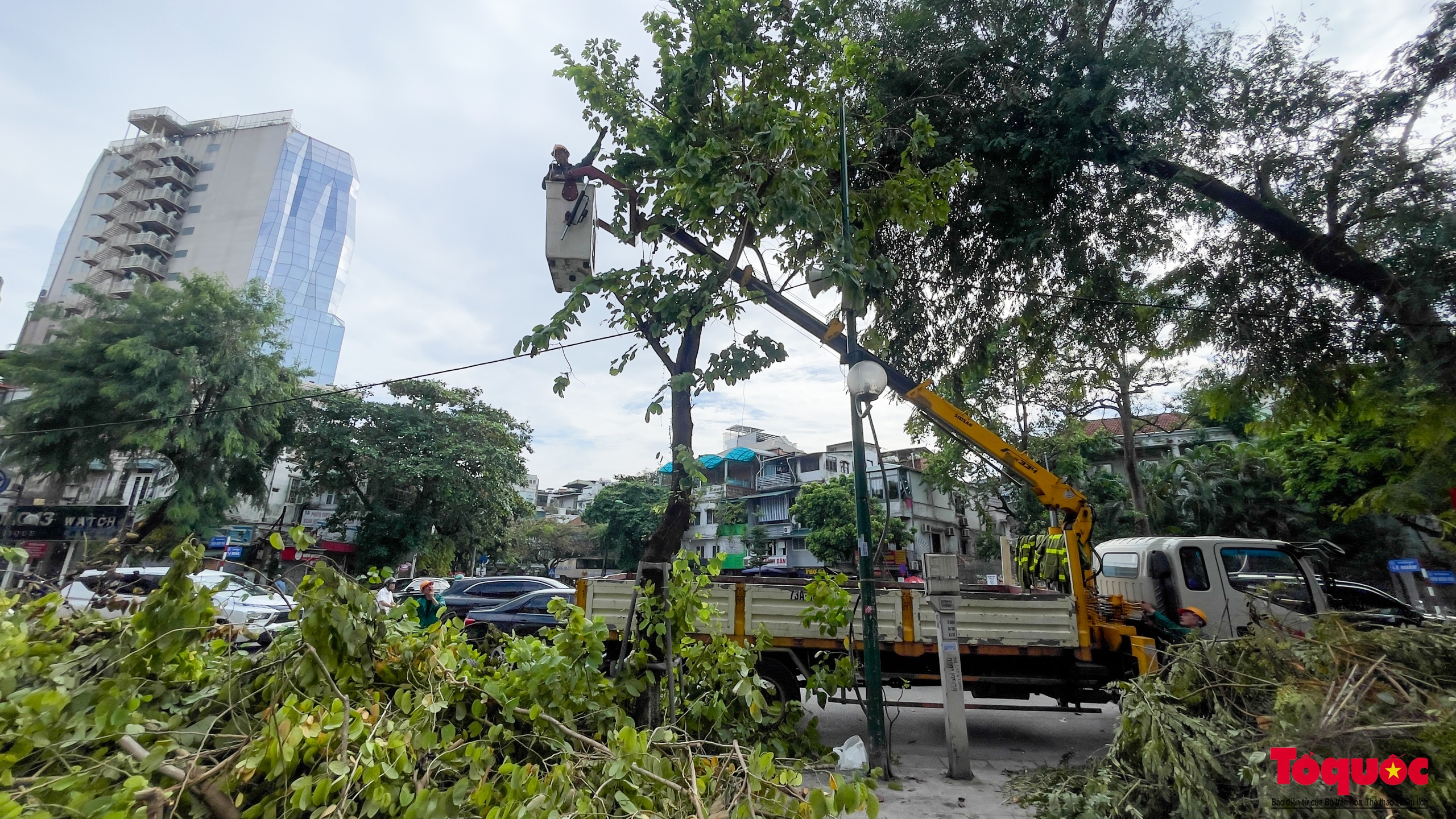 Nhiều tỉnh thành ngày đêm hỗ trợ Hà Nội xử lý cây xanh ngã đổ sau bão số 3 - Ảnh 14.