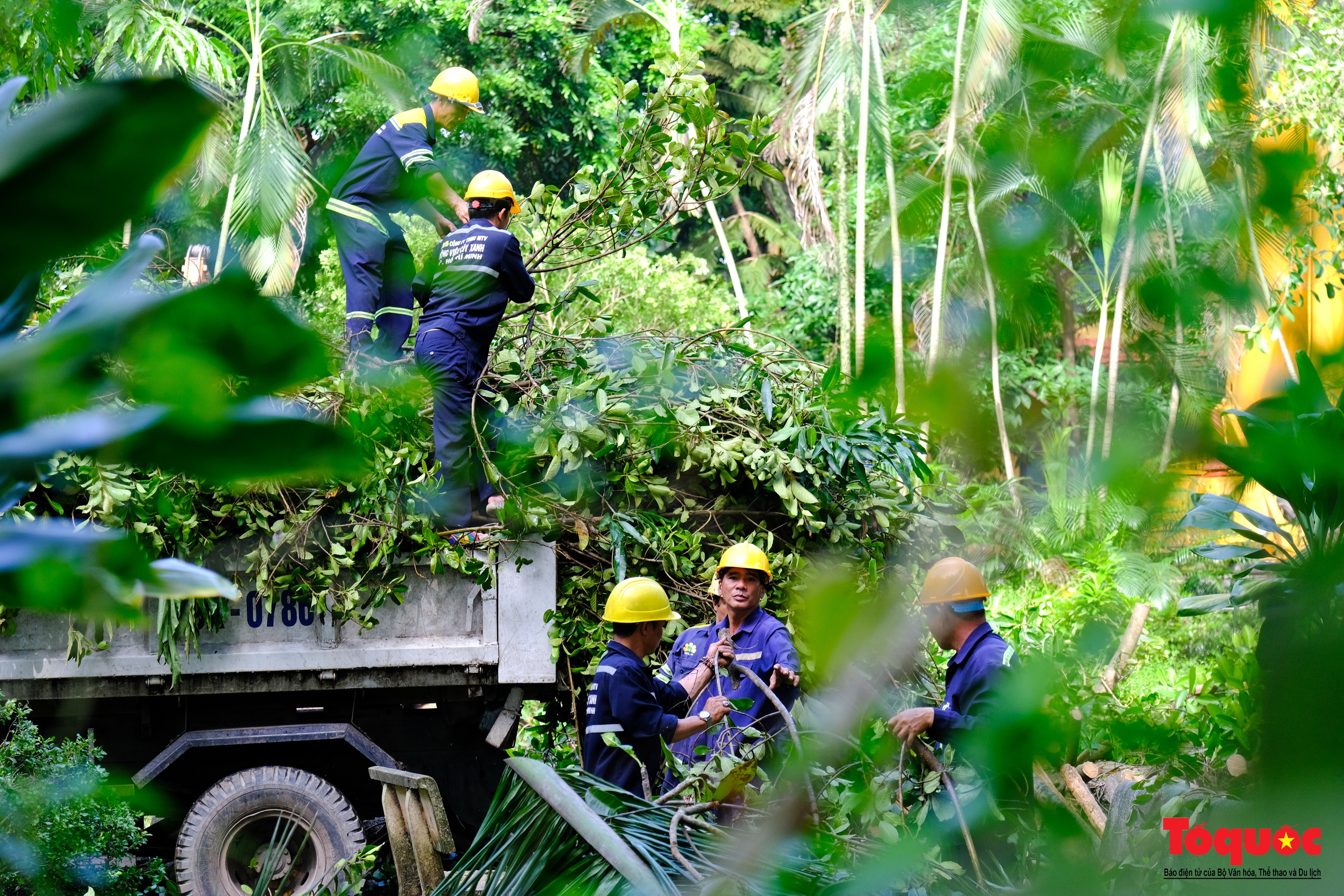 Nhiều tỉnh thành ngày đêm hỗ trợ Hà Nội xử lý cây xanh ngã đổ sau bão số 3 - Ảnh 17.