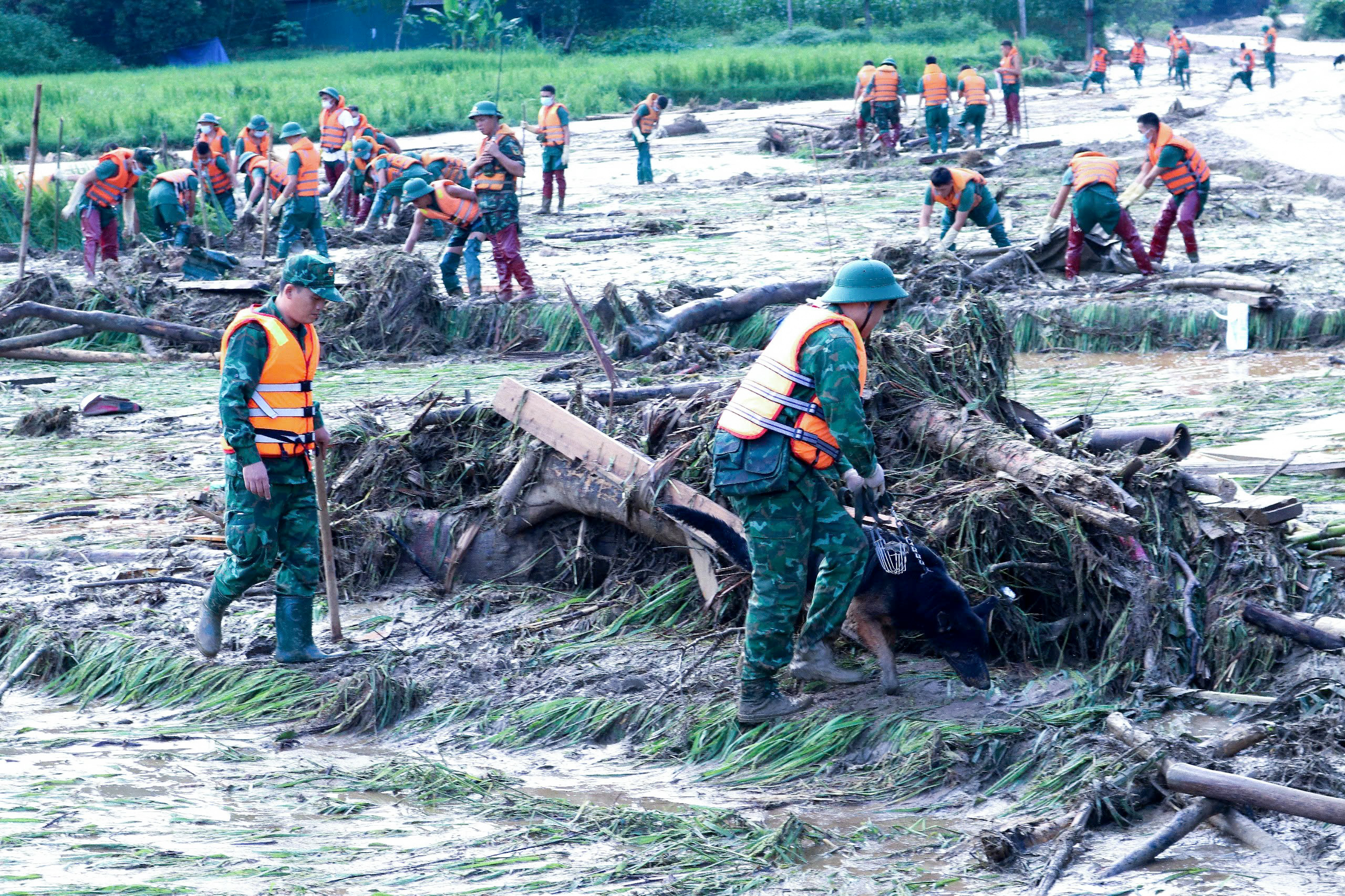 &quot;Chiến sĩ đặc biệt&quot; tham gia tìm kiếm cứu nạn tại Làng Nủ - Ảnh 13.