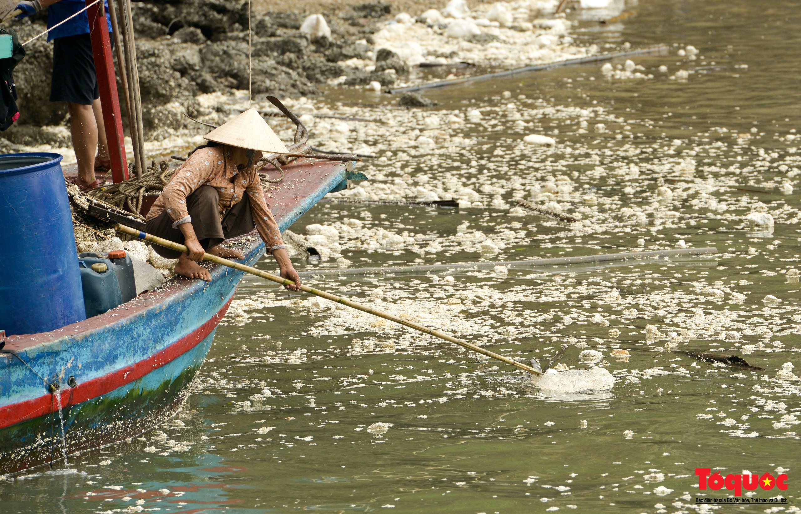 Căng mình thu gom rác, phục hồi cảnh quan ở Vịnh Hạ Long sau bão số 3 - Ảnh 4.