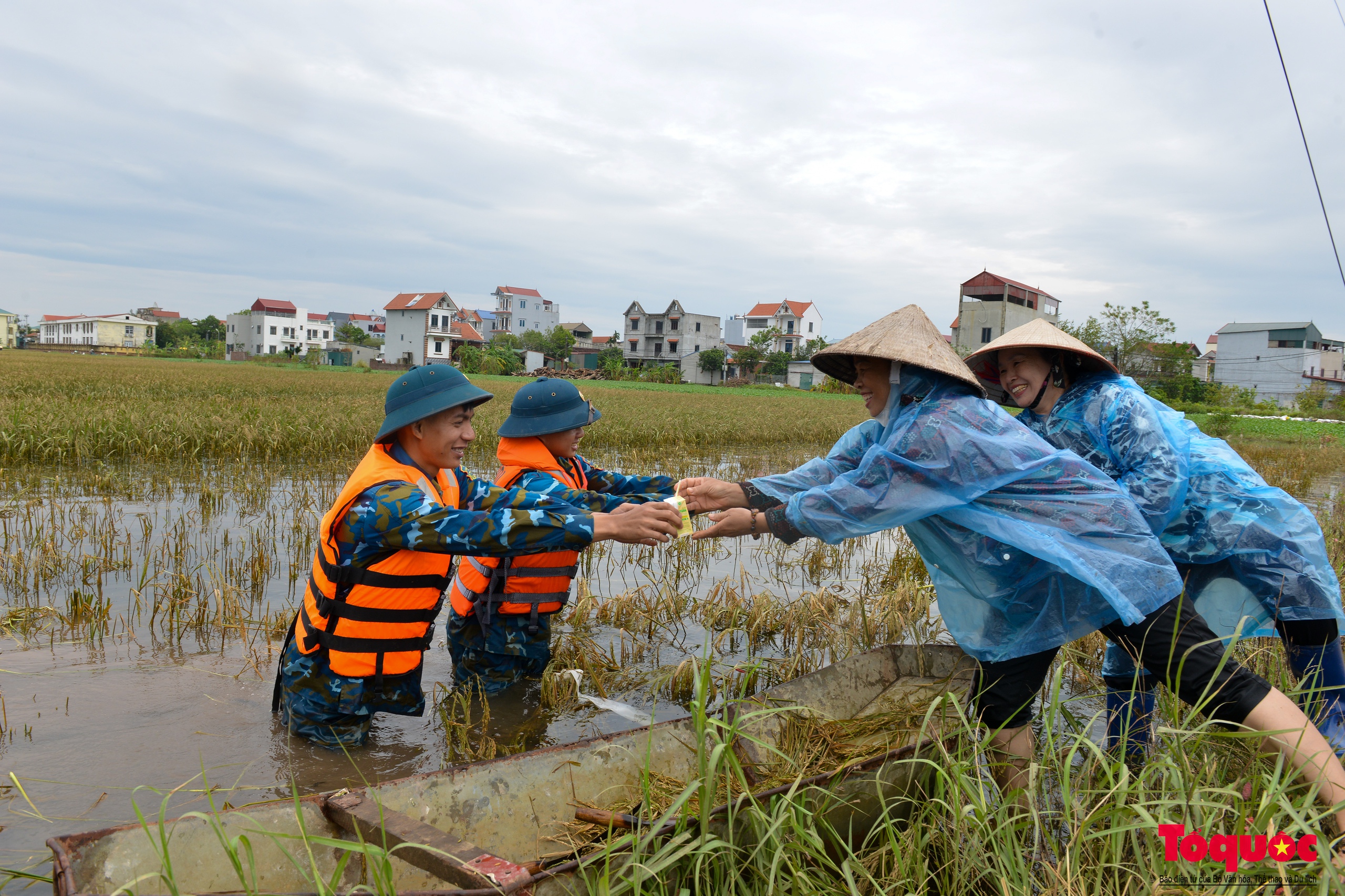 Bộ đội tên lửa Thủ đô ngâm mình gặt lúa giúp dân vùng rốn lũ Chương Mỹ - Ảnh 13.