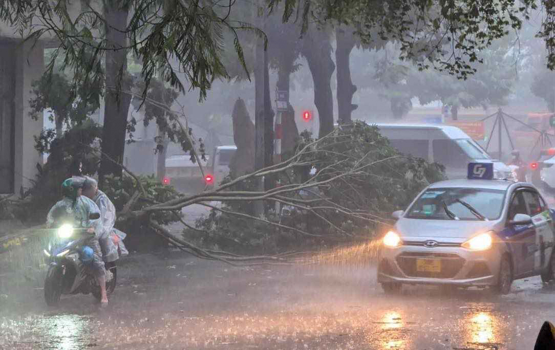 Hà Nội mưa lớn, nhiều cây gãy đổ vào nhiều phương tiện của người dân trước khi bão số 3 đổ bộ - Ảnh 2.