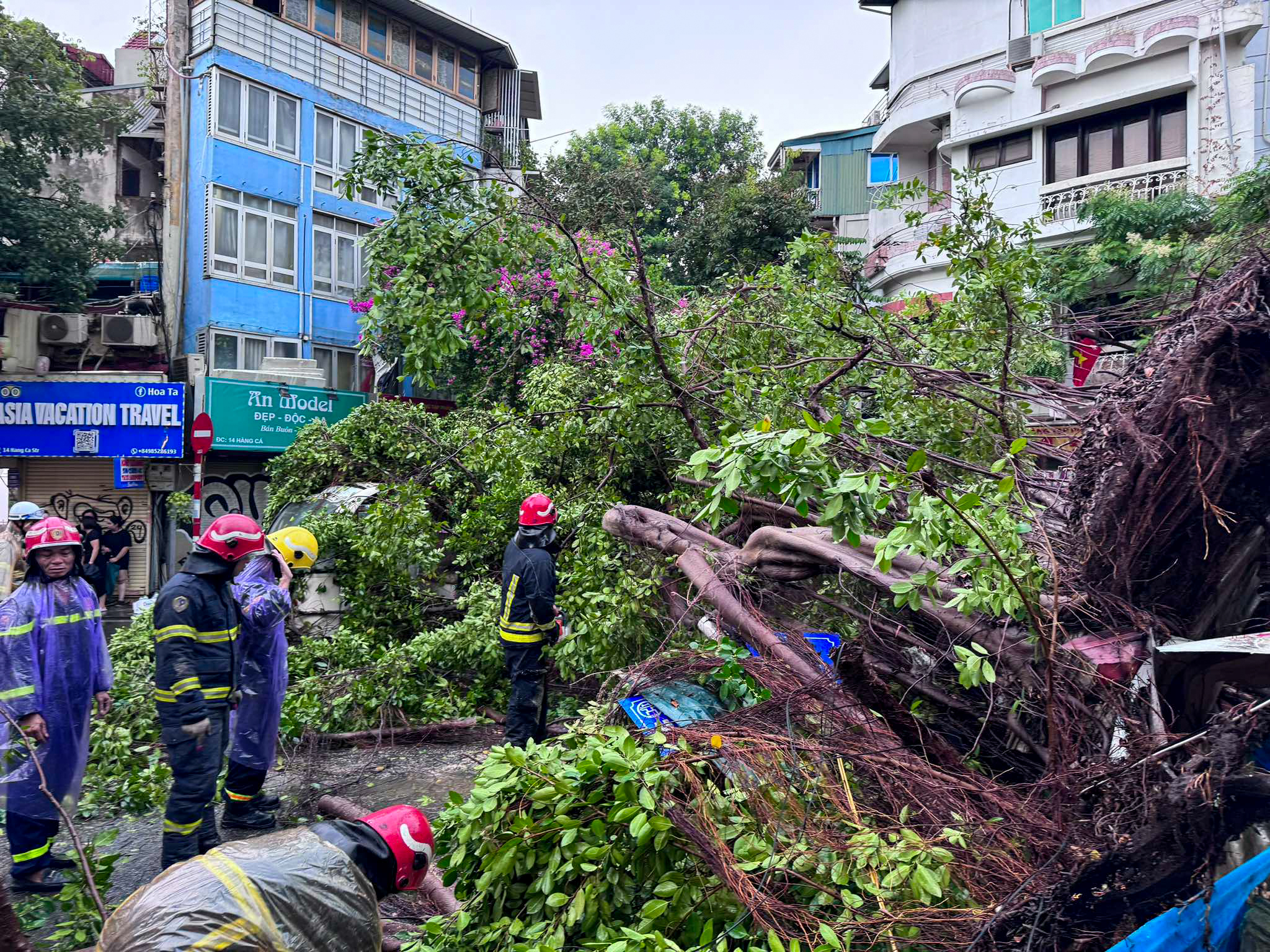 Hà Nội mưa lớn, nhiều cây gãy đổ vào nhiều phương tiện của người dân trước khi bão số 3 đổ bộ - Ảnh 6.