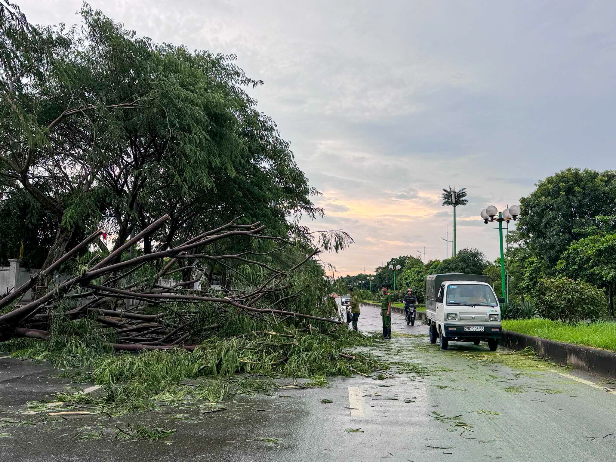 Hà Nội mưa lớn, nhiều cây gãy đổ vào nhiều phương tiện của người dân trước khi bão số 3 đổ bộ - Ảnh 9.