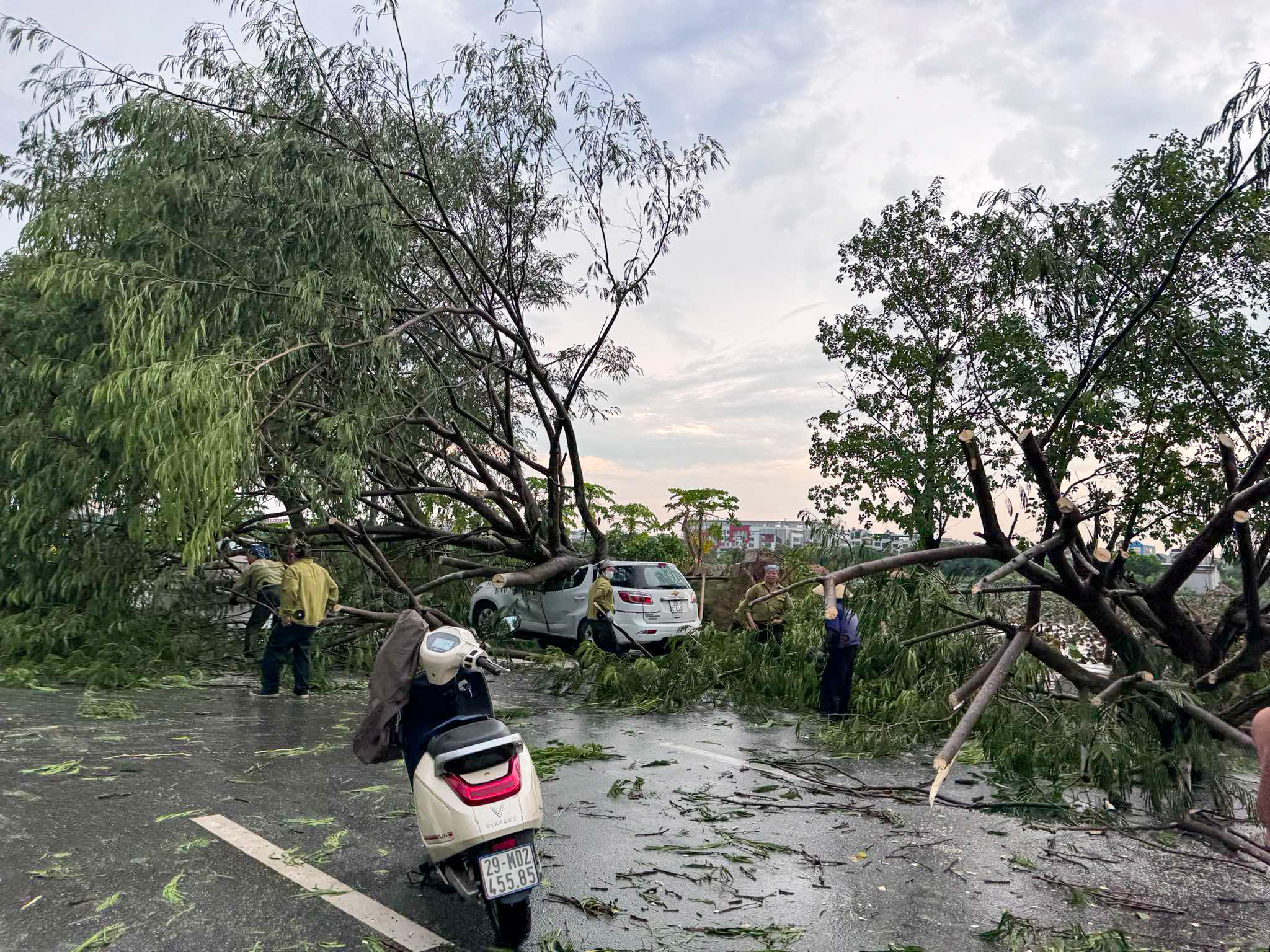 Hà Nội mưa lớn, nhiều cây gãy đổ vào nhiều phương tiện của người dân trước khi bão số 3 đổ bộ - Ảnh 10.