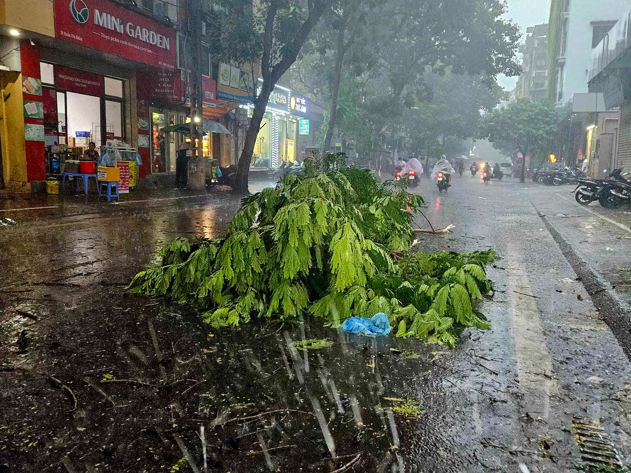 Hà Nội mưa lớn, nhiều cây gãy đổ vào nhiều phương tiện của người dân trước khi bão số 3 đổ bộ - Ảnh 8.