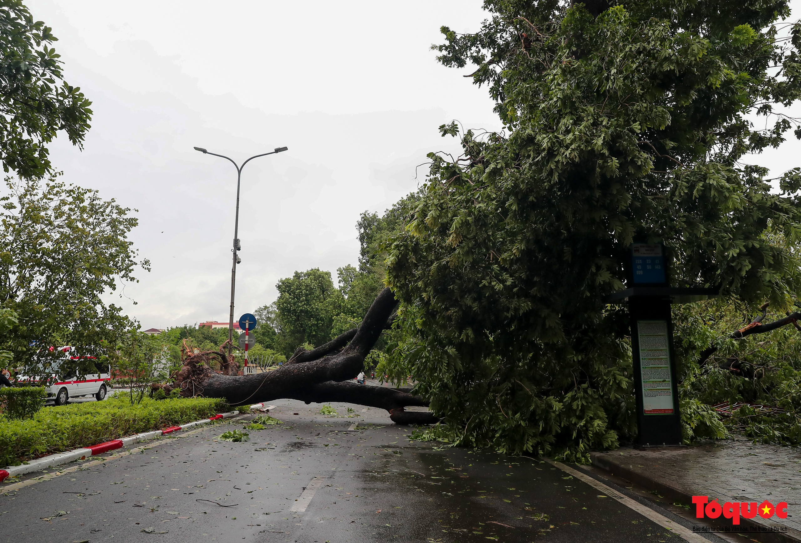 Hà Nội ngổn ngang sau bão số 3 - Ảnh 12.