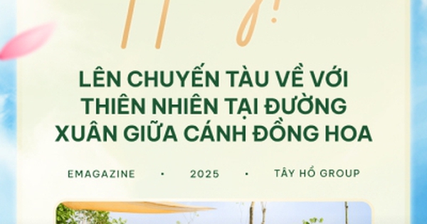 Tết này! Lên chuyến tàu về với thiên nhiên tại đường xuân giữa cánh đồng hoa