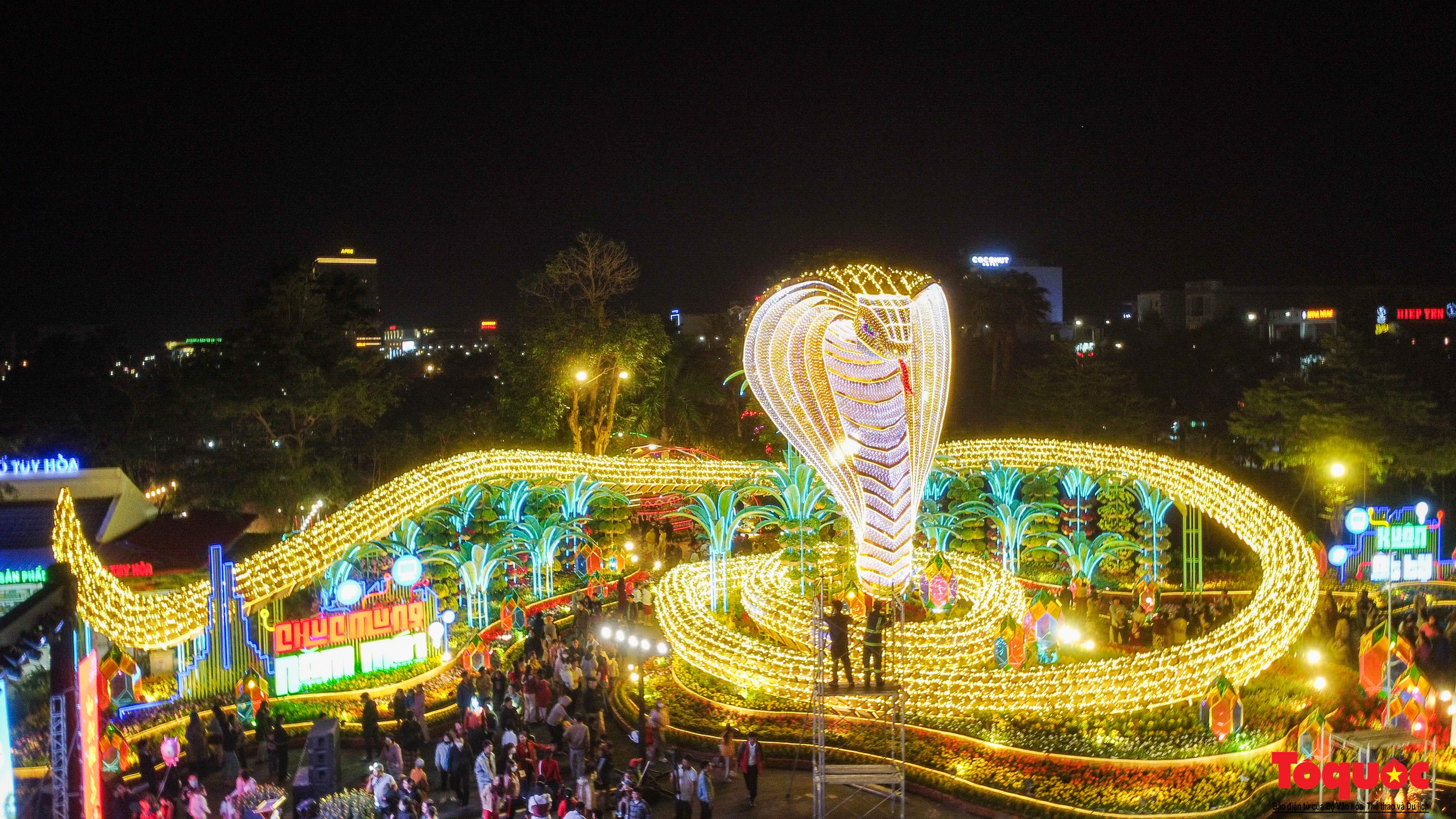 Hổ mang chúa dài 135 m chào Xuân Ất Tỵ ở Phú Yên - Ảnh 2.