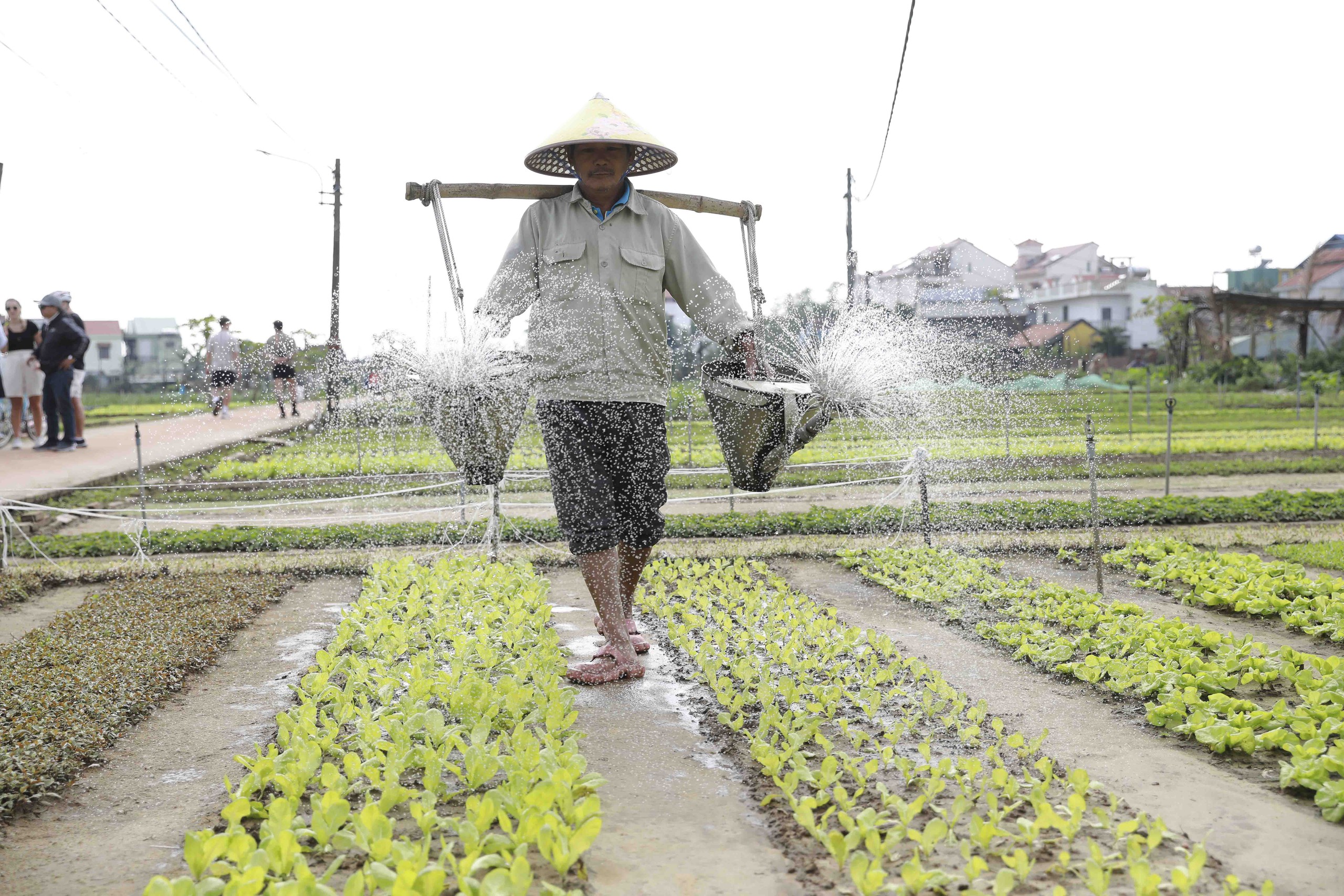 Khách quốc tế hào hứng tham quan, trải nghiệm tại Làng du lịch tốt nhất thế giới  - Ảnh 2.