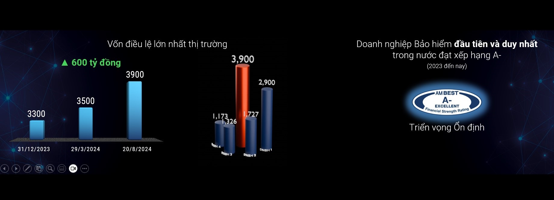 Doanh nghiệp bảo hiểm sẵn sàng phát triển cùng kỷ nguyên &quot;vươn mình của dân tộc&quot; - Ảnh 3.