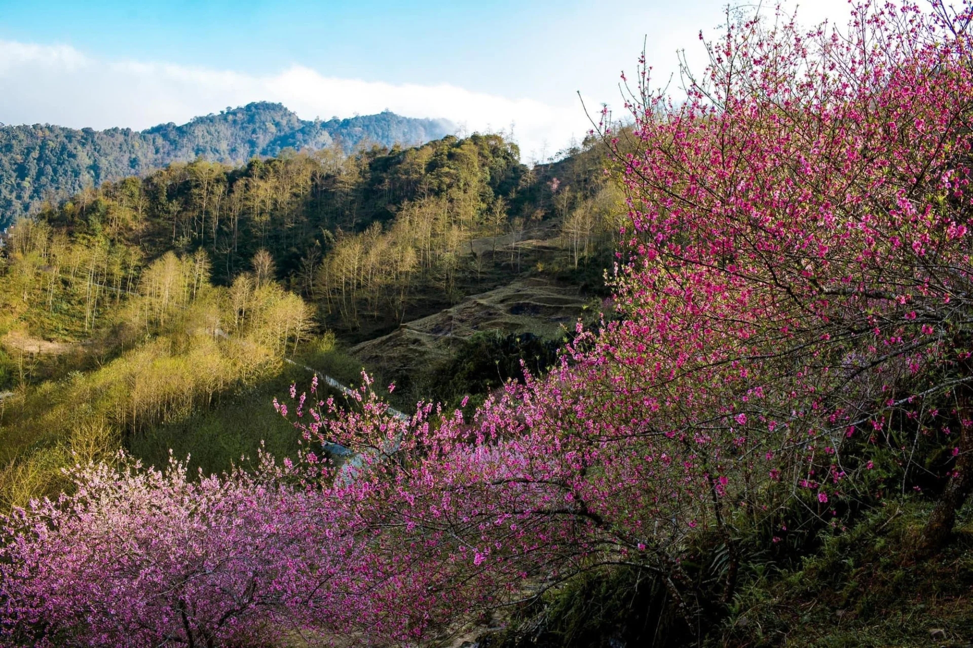ha-giang-viet-nam-17420285627171421174968.jpg