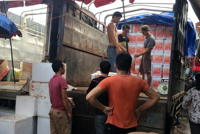 hoa quả trung quốc, hoa quả tàu, hoa quả nội, hoa quả việt nam, hoa quả trung quốc độc hại, nhập hoa quả Trung quốc
