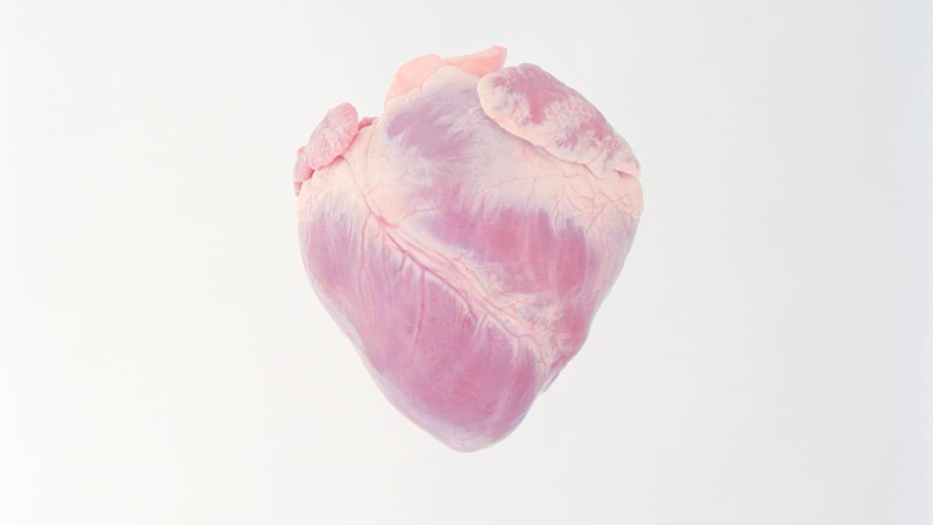 10 sự thật về trái tim có thể bạn chưa biết  VnExpress Sức khỏe