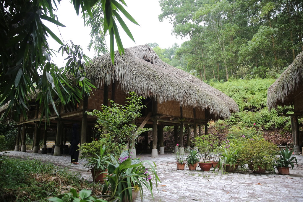 Làng nhà sàn dân tộc sinh thái Thái Hải – Kết nối giữa bảo tồn văn hóa và  phát triển du lịch