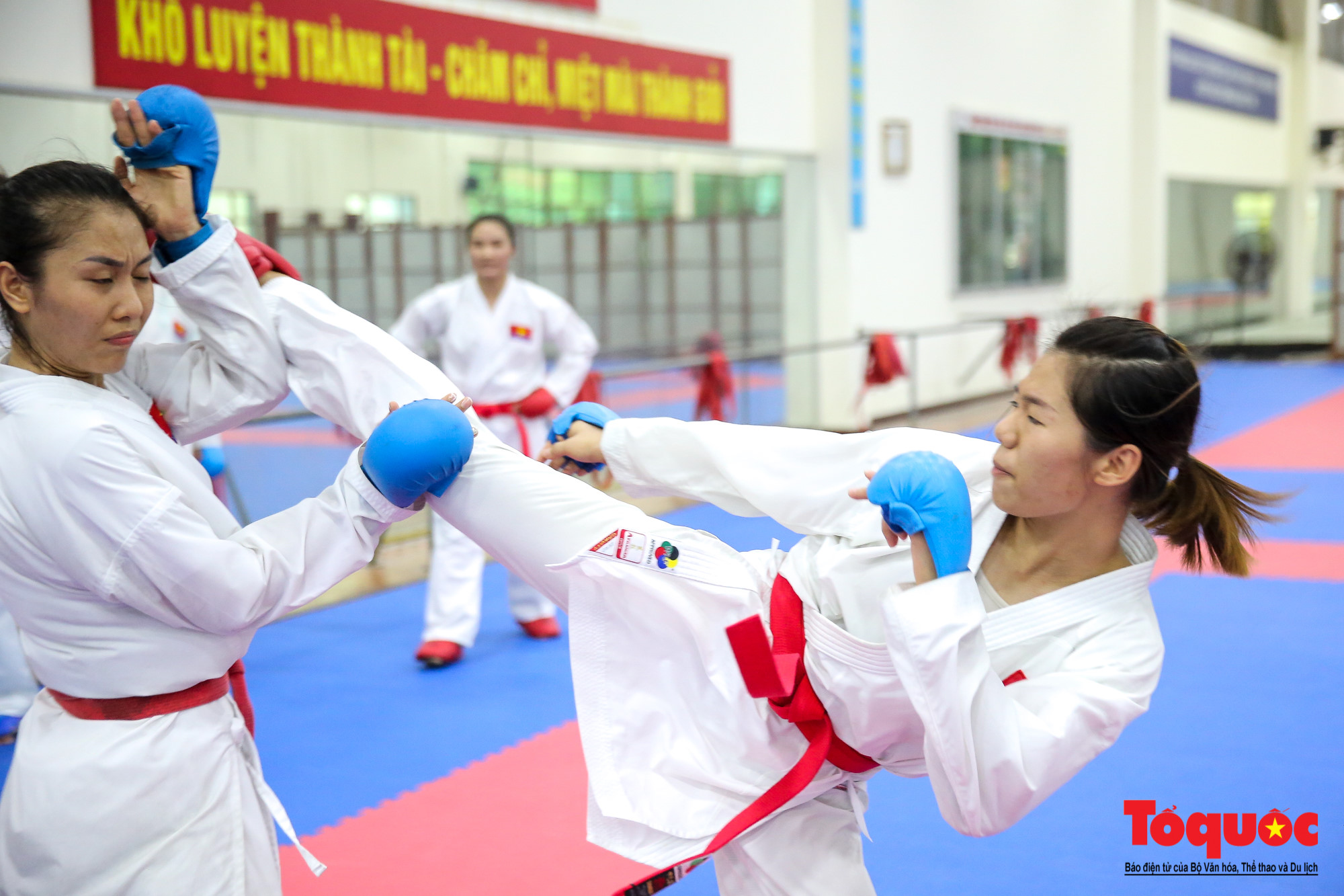 Top 95 hình nền karatedo mới nhất  Tin học Đông Hòa