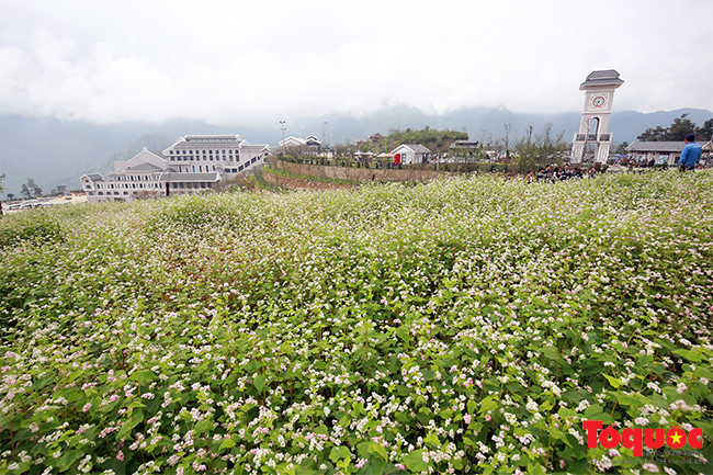nhận định kèo nhà cái