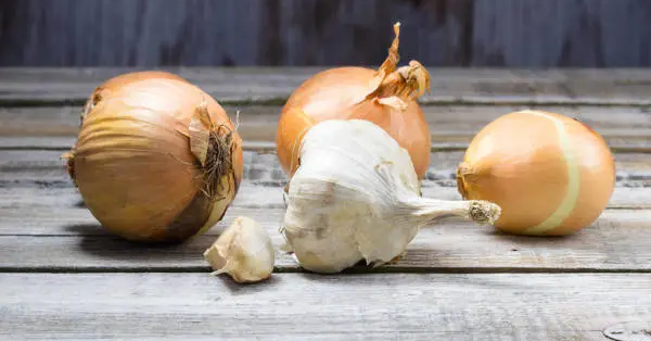 Nghiên cứu chỉ ra 5 thực phẩm bảo vệ sức khỏe đường ruột, chuyên gia lưu ý hữu ích, nhưng đừng lạm dụng!