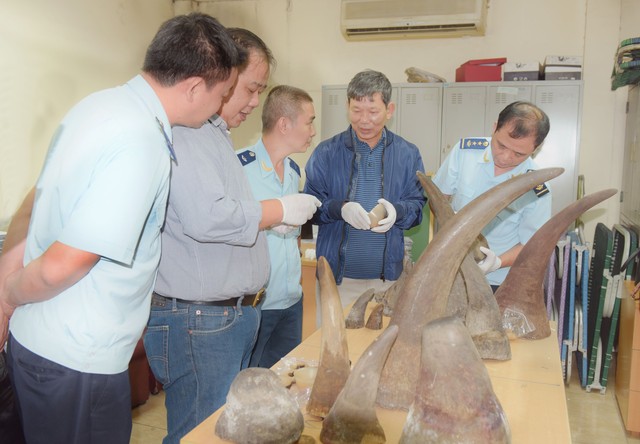 Hải Quan Hà Nội bắt giữ hơn 30 kg sừng tê giác nhập lậu từ Nam Phi - Ảnh 2.