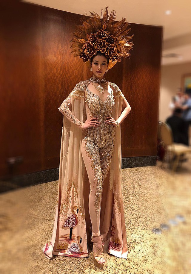 Đại diện Việt Nam đoạt Huy chương vàng trang phục dân tộc Miss Earth 2018 - Ảnh 2.