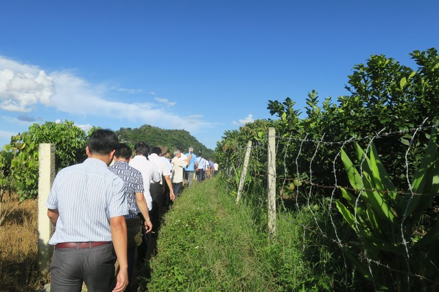 Hơn 81 nghìn tỷ đồng đầu tư trung hạn cho các bộ, ngành, địa phương - Ảnh 1.