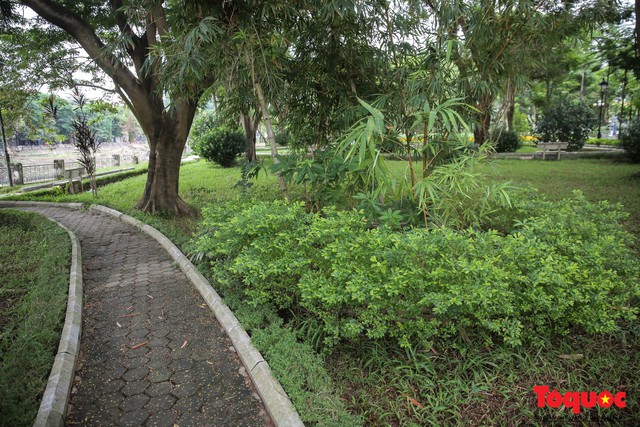 Hà Nội: Xuất hiện nhiều kim tiêm rơi vãi tại vườn hoa Nguyễn Trãi, Hà Đông  - Ảnh 4.