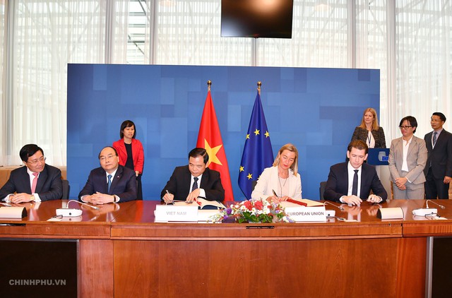 Việt Nam - EU cùng hợp tác giải quyết khai thác gỗ bất hợp pháp - Ảnh 1.