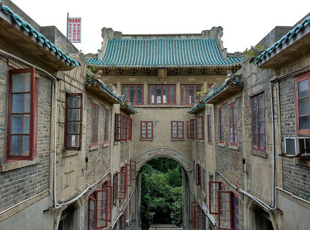 Mê mệt với vẻ đẹp tựa tranh vẽ của ngôi trường được mệnh danh là Đại học hoa anh đào ở Trung Quốc - Ảnh 5.