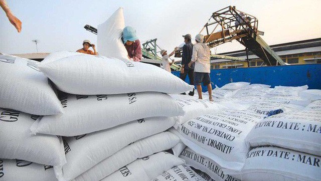 Xuất khẩu gạo vững bước nhờ giá liên tục tăng - Ảnh 1.