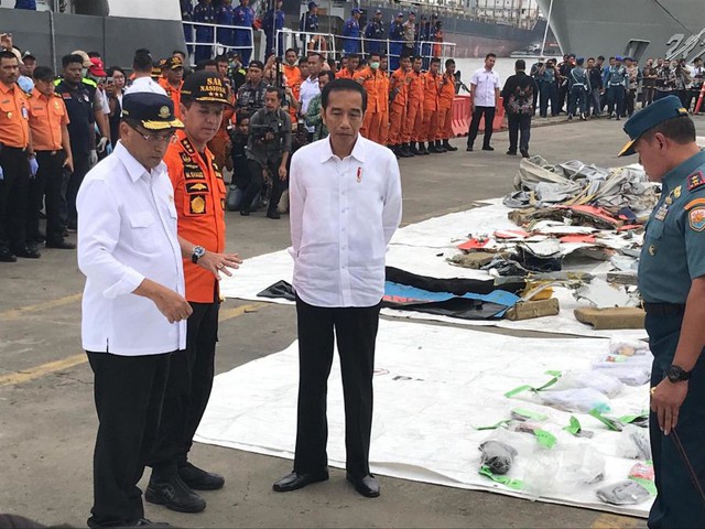 Việt Nam gửi điện chia buồn tai nạn máy bay Lion Air - Ảnh 2.