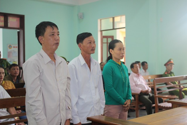 Vụ phá rừng Quảng Nam: Ba người bị kết án - Ảnh 1.