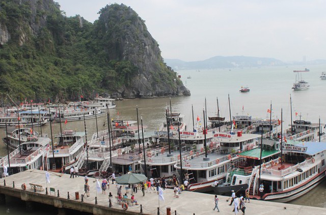 Quảng Ninh: Triển khai đánh giá chất lượng tàu du lịch  - Ảnh 1.