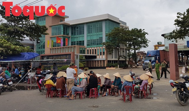 Doanh nghiệp đề nghị thành phố Đà Nẵng công bố kết quả quan trắc môi trường của nhà máy thép - Ảnh 1.