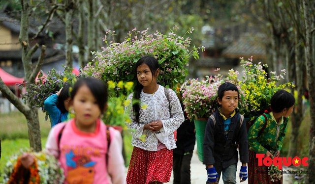Hà Giang: Tam giác mạch bung nở rực rỡ sẵn sàng cho mùa Lễ hội hoa lớn nhất trong năm  - Ảnh 11.