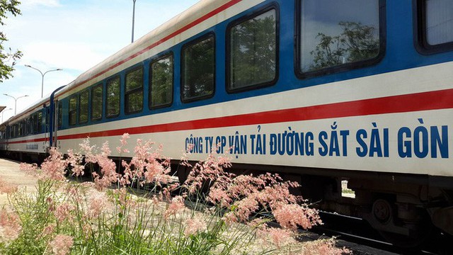Đường sắt Việt Nam chạy thêm gần 50 đoàn tàu phục vụ Tết Dương lịch 2019 - Ảnh 1.