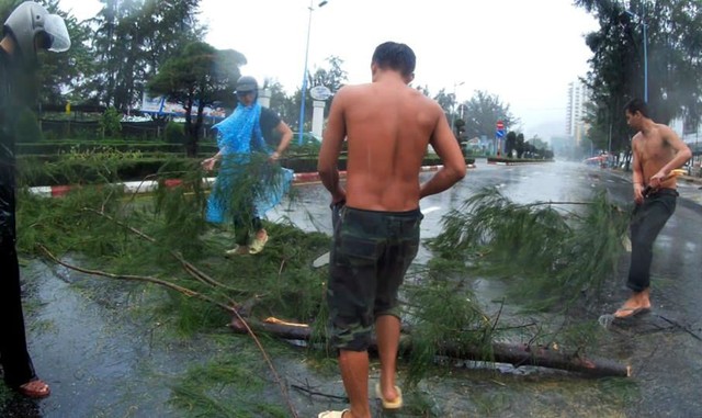 Bão số 9 quét qua Vũng Tàu, cây xanh gãy đổ la liệt - Ảnh 3.