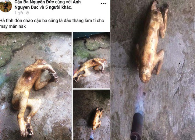 Hà Tĩnh: Điều tra nam thanh niên khoe hình con khỉ bị giết thịt trên facebook - Ảnh 1.