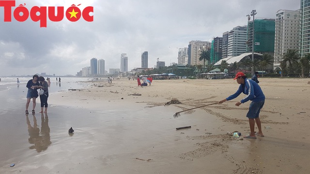 Đà Nẵng nỗ lực dọn lượng rác “khủng” tấp vào bờ biển du lịch - Ảnh 4.