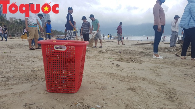 Đà Nẵng nỗ lực dọn lượng rác “khủng” tấp vào bờ biển du lịch - Ảnh 13.