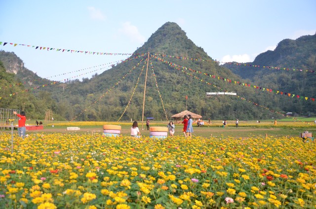Thỏa sức check in tại thung lũng hoa lớn nhất Việt Nam - Ảnh 4.