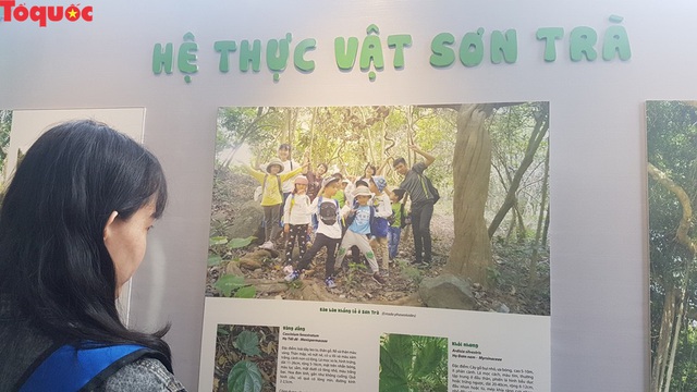 Trung tâm Giáo dục trải nghiệm thiên nhiên đầu tiên của Đà Nẵng chính thức đi vào hoạt động - Ảnh 1.
